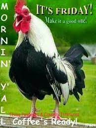 FRIDAY FUN